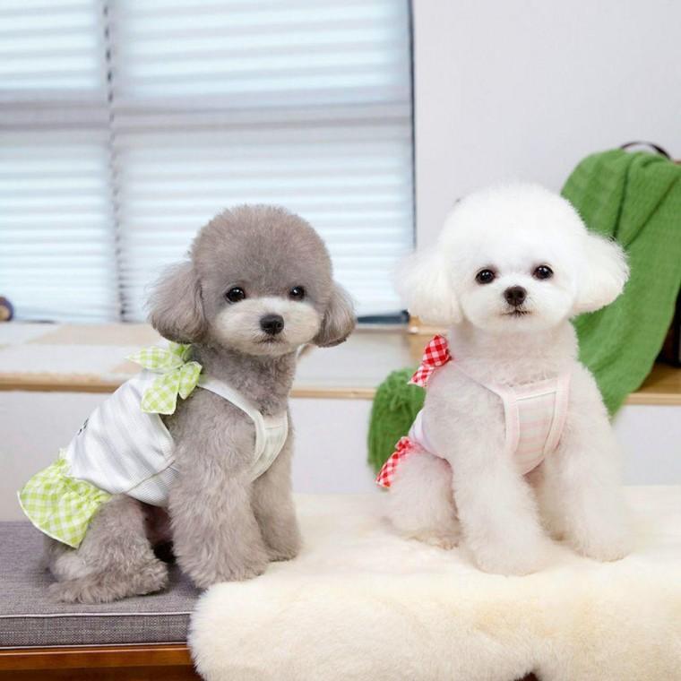 체크 강아지 원피스 티셔츠 여름 애견옷 귀여운 강아