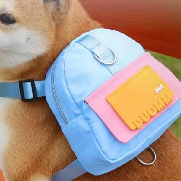 강아지 간식 소형 백팩 강아지가방 애견백팩 간식가방 강아지간식가방