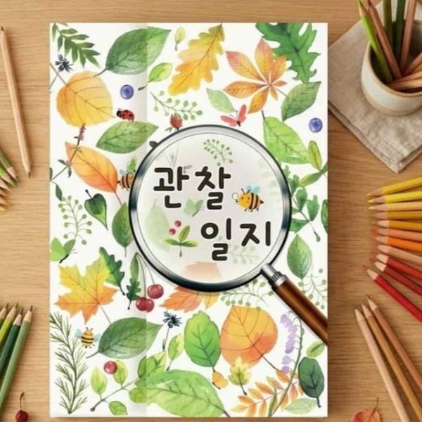플랩북 책놀이 나만의책만들기 자연관찰책 북아트만들기 스토리북만들기