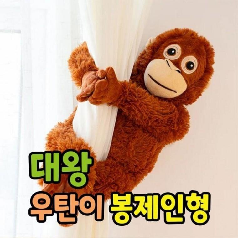 초등 학원 홍보 봉제인형 우탄이 유치원 어린이집