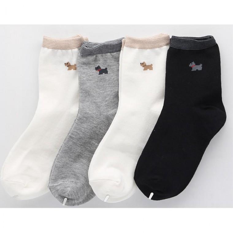 20대 중목양말 롱삭스 가성비 10대양말 5켤레 중딩 가성비좋은선물 50대여성선물 30대 심플한 50대엄마선물