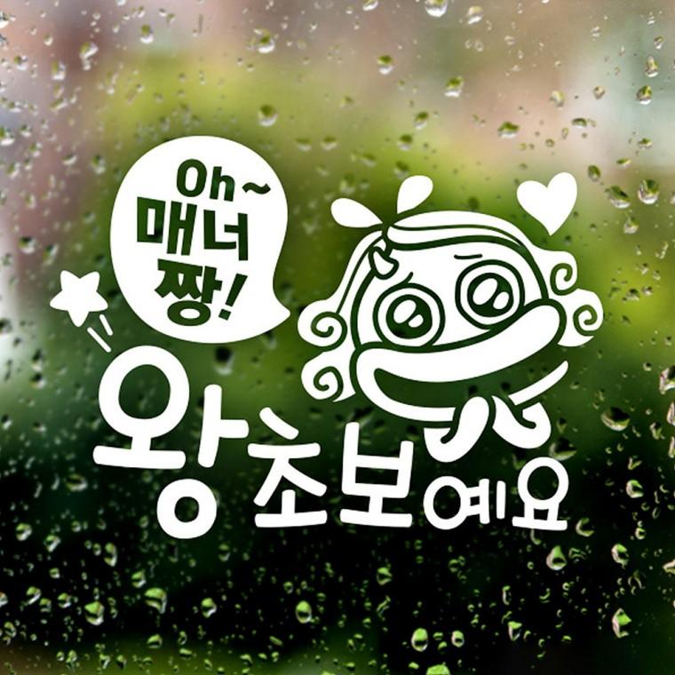매너짱 왕초보예요 초보운전스티커-반사