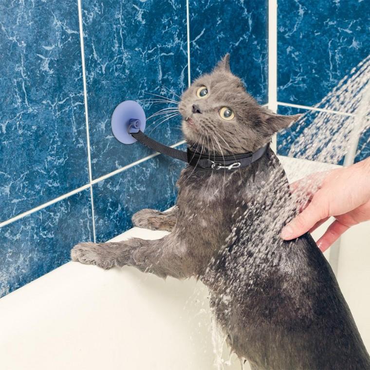 강아지 목욕줄 고양이 리쉬줄 미용 목줄