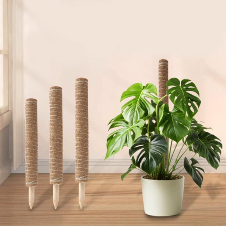 코코넛 수태봉 코코봉 몬스테라 지지대 고정 식물 화분 기둥 스킨답서스 30cm 50cm 70cm