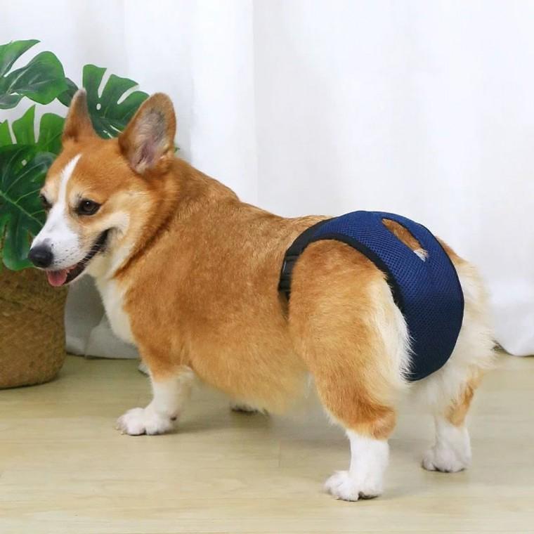 강아지 생리 기저귀 바지 통기성 메쉬 팬티 조절가능