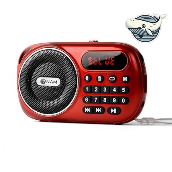 실용적인 블루투스 라디오 고음질 녹음기능