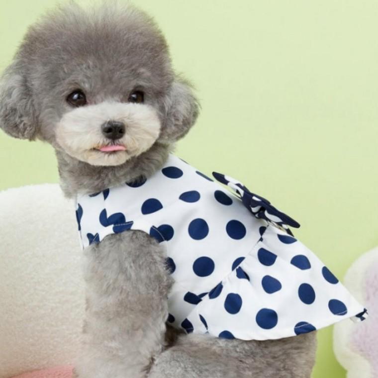 반려견 생일 드레스 땡땡이 리본 하네스 원피스 강아지옷