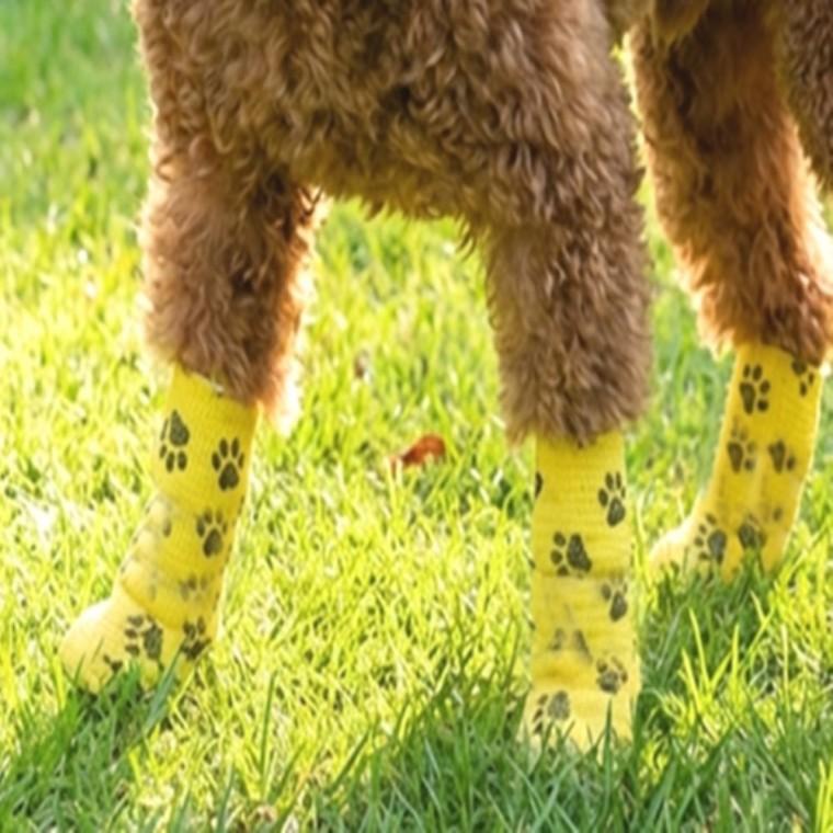 일회용 강아지 붕대 신발 산책 양말 반려견 애견양말 반려견신발 강아지산책양말 강아지미끄럼방지신발