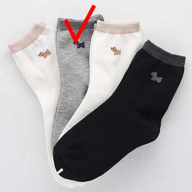 여성 패션양말 여자 중목 데일리 큐티 회색 1개 스타킹 시스루