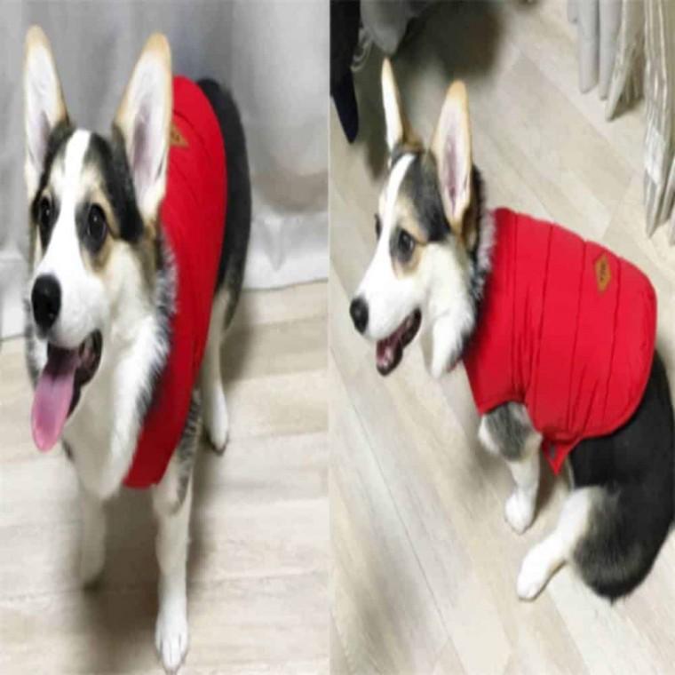 레드 애견 패딩조끼 강아지겨울조끼 강아지후리스 강아지의류패딩조끼 강아지점퍼