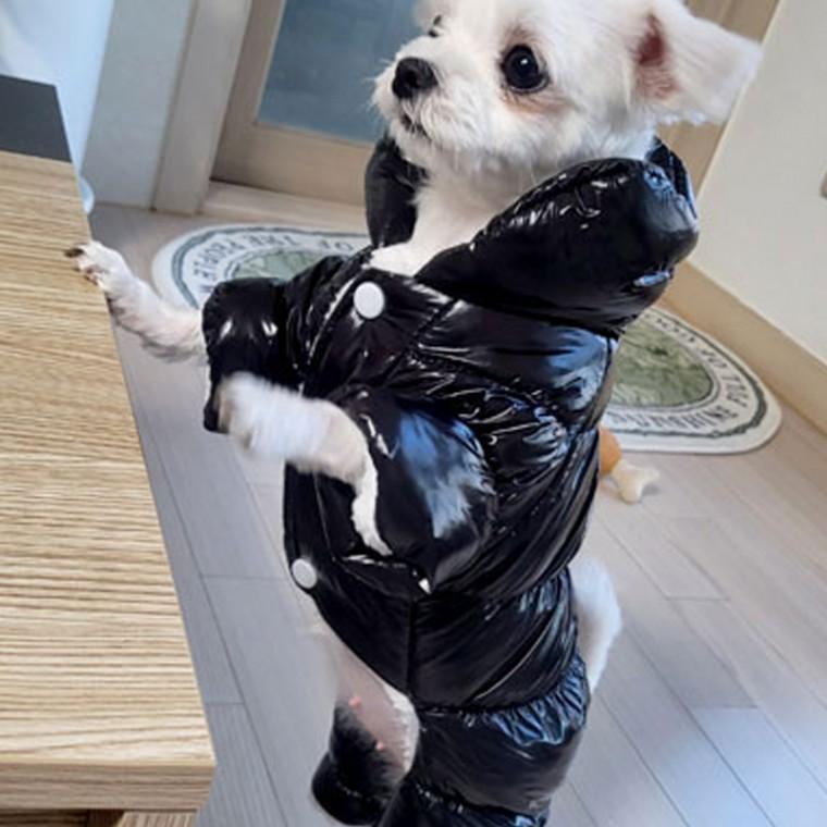 강아지 겨울 방한 패딩 애견 점퍼