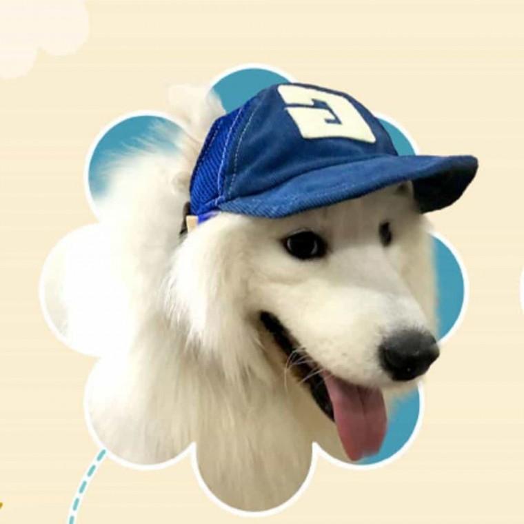 강아지 썬캡