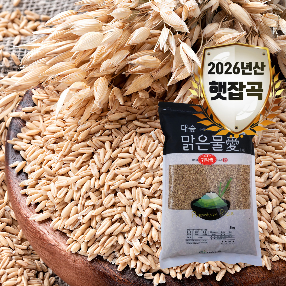 [대숲맑은물애] 26년산 영양곡물 알갱이 고소한맛 귀리쌀 1kg~5kg