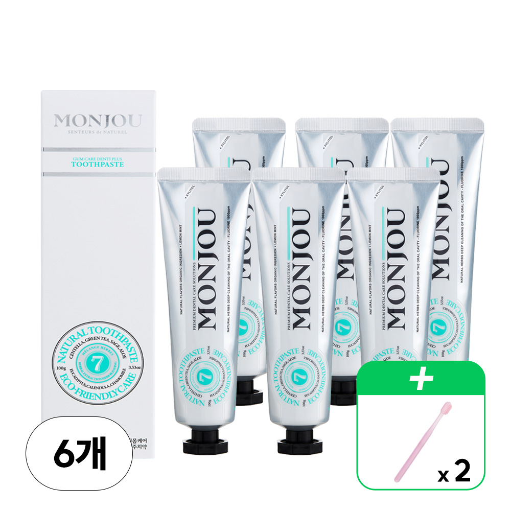 [몽주] 잇몸케어 덴티 플러스 치약 100g x 6개+부드러운 이중 미세모 칫솔 2개 (색상랜덤발송)