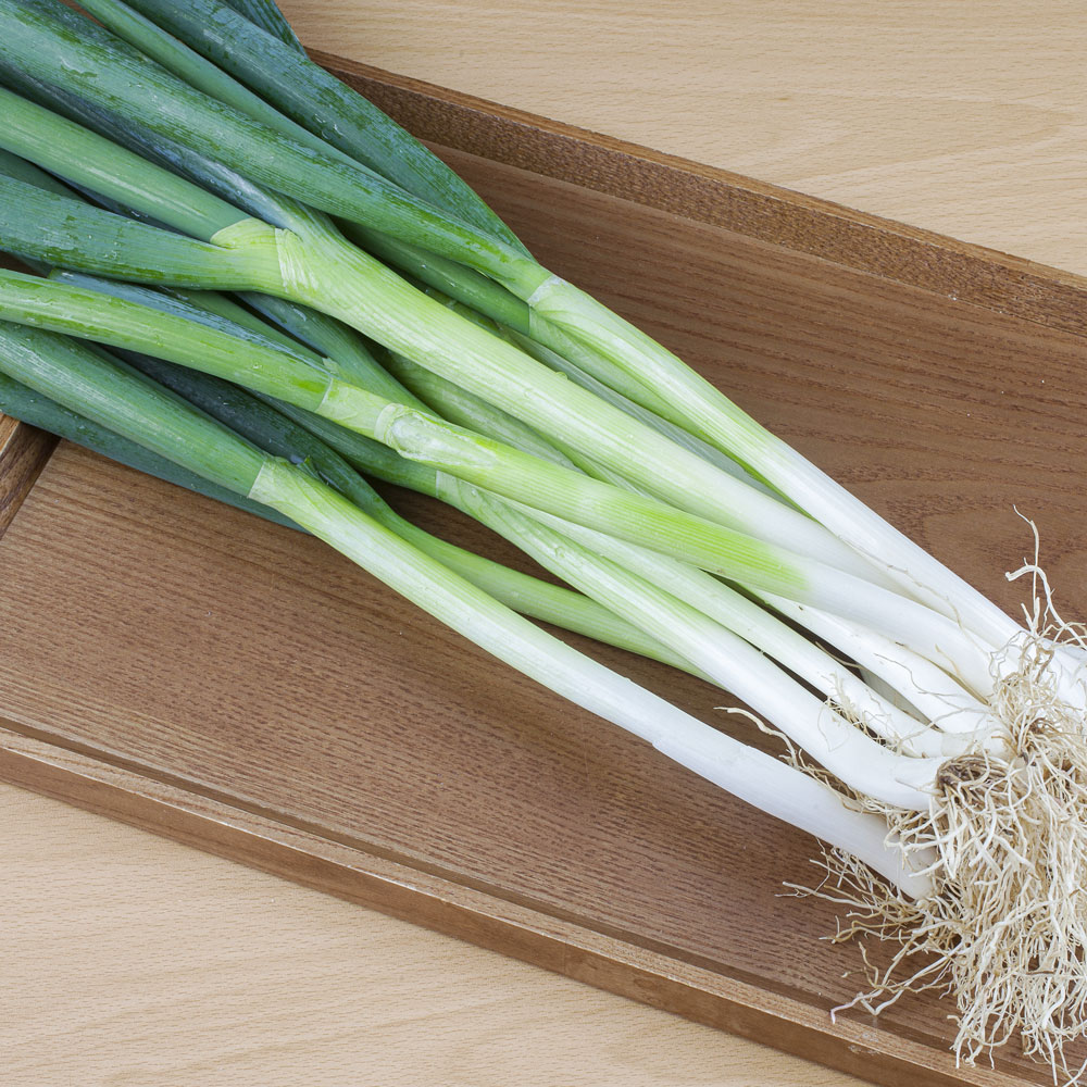 [더프레시] 아삭하고 시원한 만능 식재료! 국내산 대파 1kg