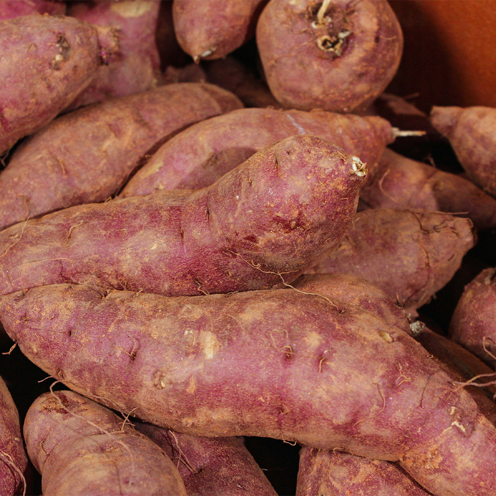 ☆행사특가☆ [더프레시] 베니하루카 꿀밤고구마 3kg/5kg 골라담기 (비세척/세척)