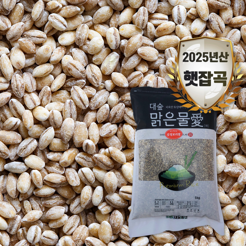 [대숲맑은물애] 25년산 흑맥 흑보리 검정보리쌀 1kg~5kg