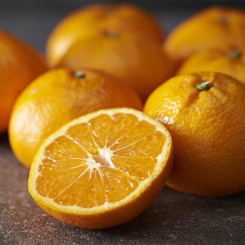 [부엌애] 제주감귤 당일선별 하우스 타이벡농법 감귤 로얄과(S-M) 3kg/5kg