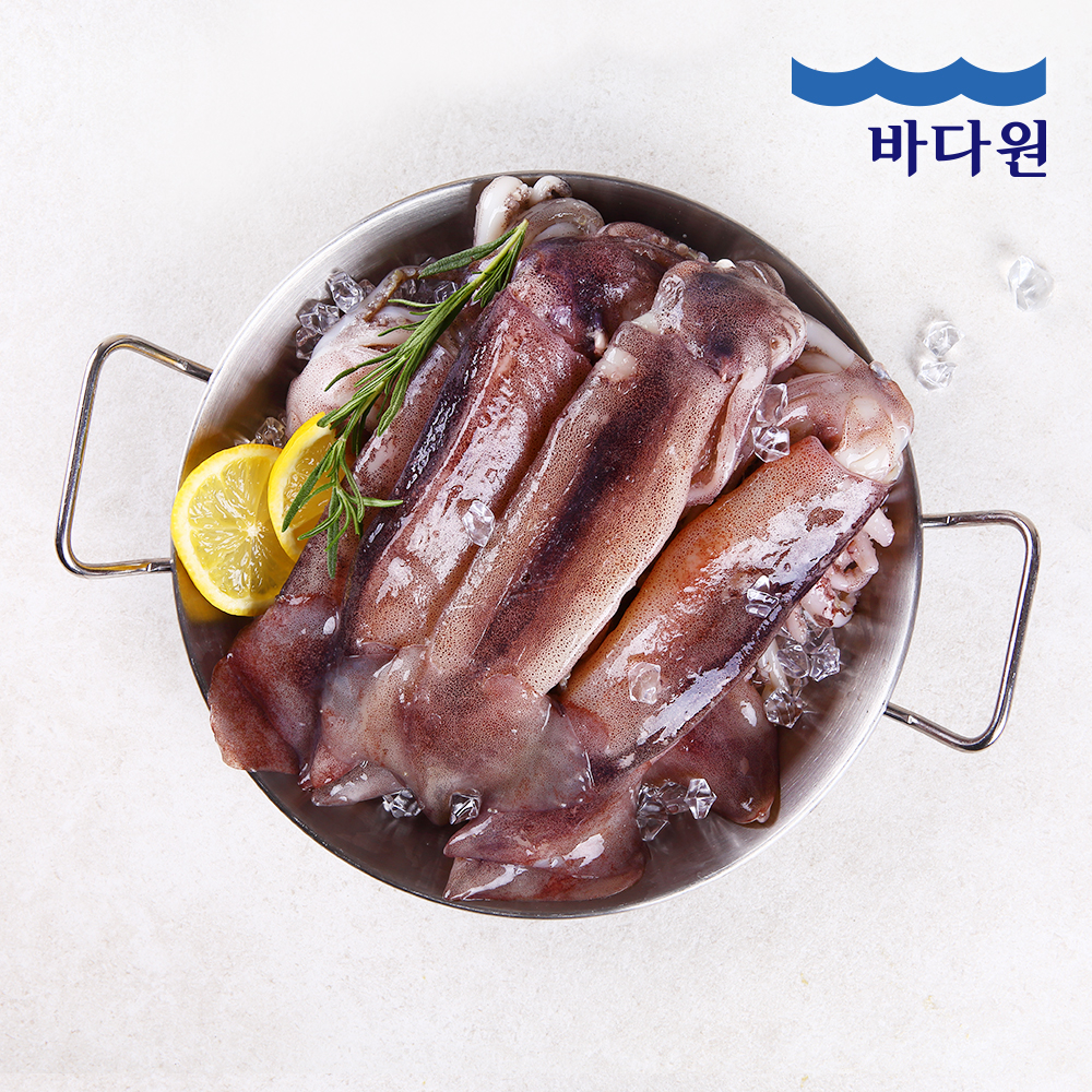 [바다원] 원양산 통찜용 오징어 500g x 2팩