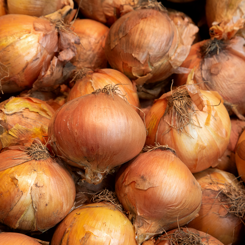 무안 황토 양파 2kg/3kg/5kg/10kg(옵션 선택)