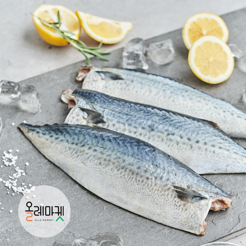 제주올레 대 고등어 140g * 10팩