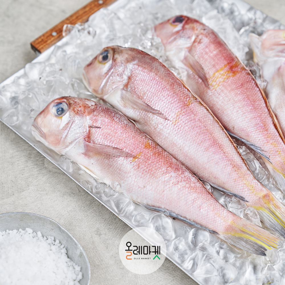 제주올레 통옥돔 5미(중량 선택)