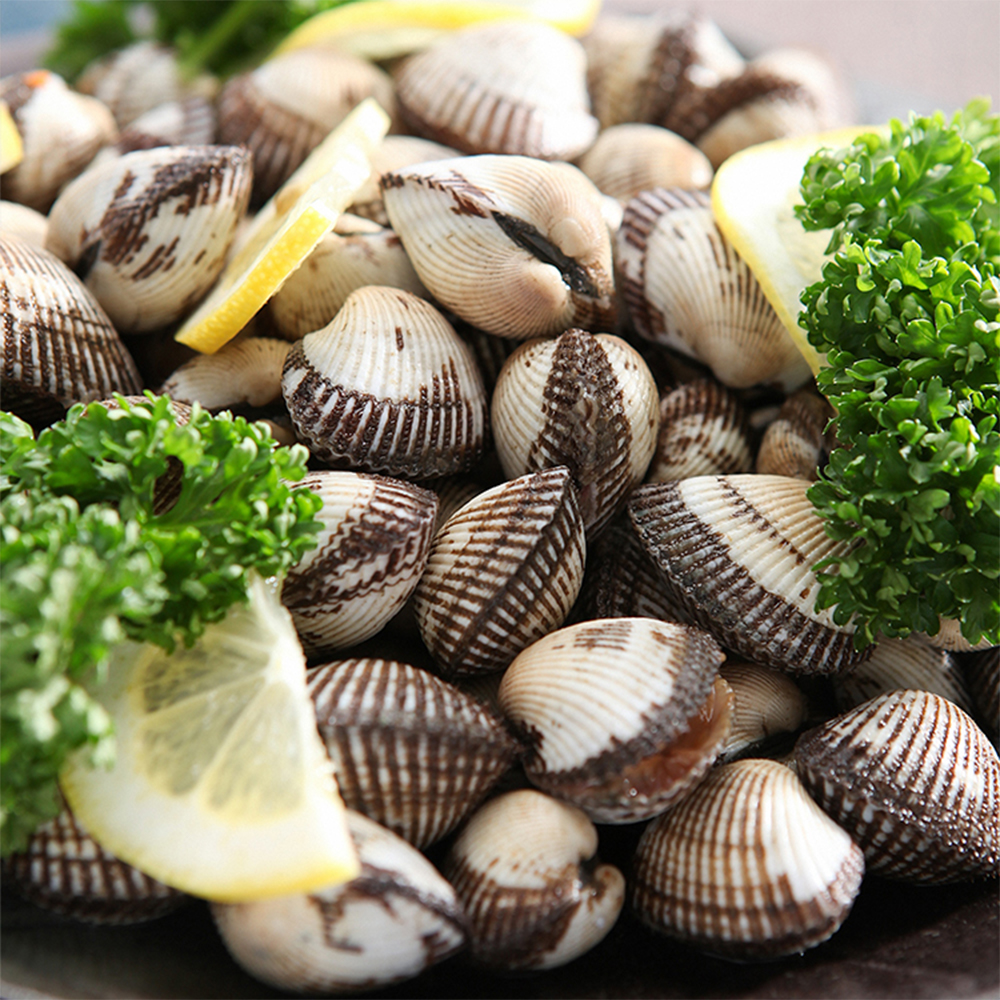 [산지직송] 제철 새꼬막 여수 벌교 꼬막 2kg / 여수 득량만 여자만