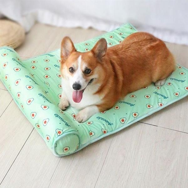 강아지 쿨매트 반려동물 애견 고양이 쿨패드 여름방석