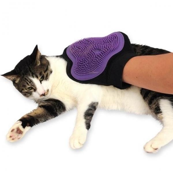 고양이 브러쉬 수퍼펫 러브러브 글러브