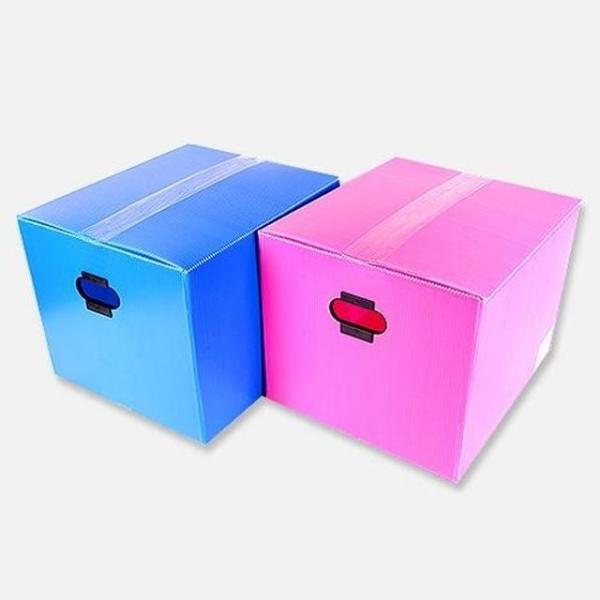 이사박스 피피박스 소 플라스틱 단프라 W