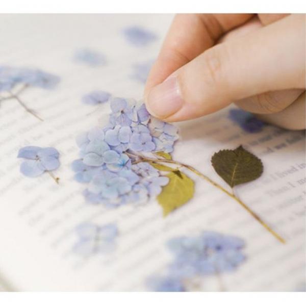 압화 수국 스티커 5P 예쁜스티커 꽃모양스티커