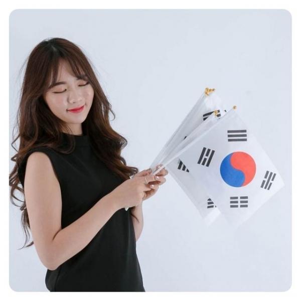 PWM - DK 일체형수기태극기(일반)10개입