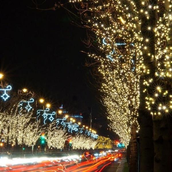 은하수 LED 1000구 투명선 USB 줄전구 100m 웜색 리모컨포함 재입고 램프 조명 트리 용전구