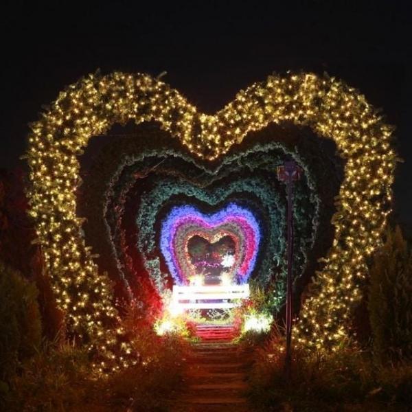 은하수 100구 투명선 LED 웜색 지니전구 10M 전원잭포함 연결가능 150cm 500cm트리용 램프