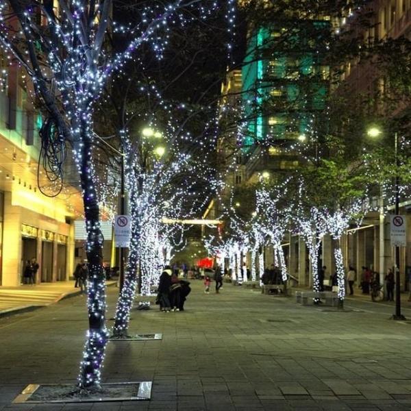 은하수 100구 녹색선 LED 백색 지니전구 10M 전원잭포함 연결가능 150cm 500cm트리용