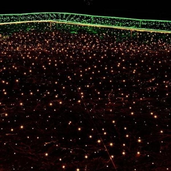 대형 트리 가로수 인테리어 500구 LED 전구 50M 웜색 대형 트리 전구 500구 조명 점멸