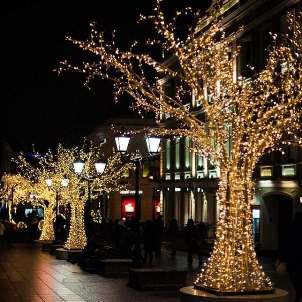 은하수 LED 300구 투명선 USB 줄전구 30m 웜색 리모컨포함 LED 조명 전구 트리 야외