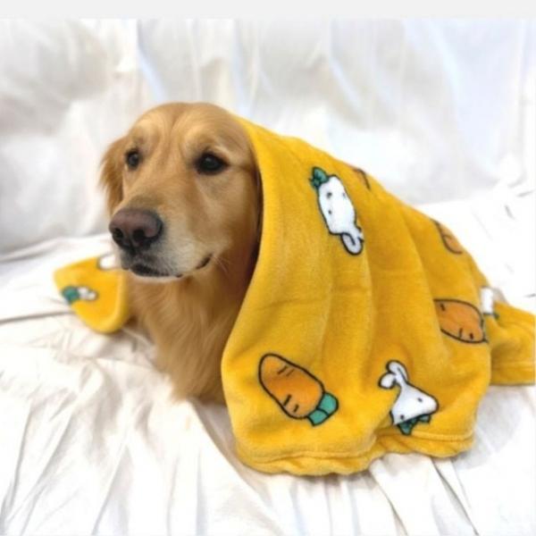 대형견 극세사 담요 이불 빅사이즈 외출 덮개