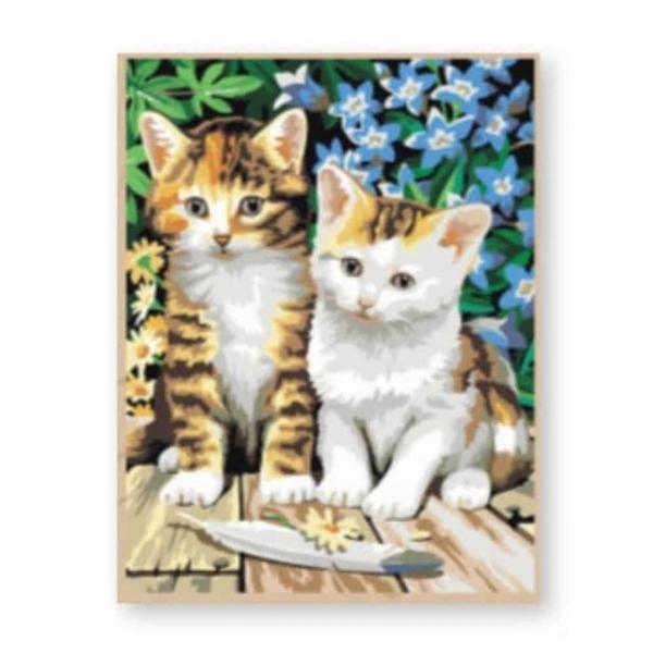 아기고양이 형제 40x50 색칠취미 DIY색칠 DIY그림그리기