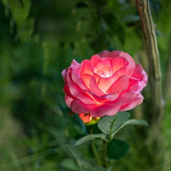 태양광 LED 정원등 Pink 장미 600mAh 야외조명