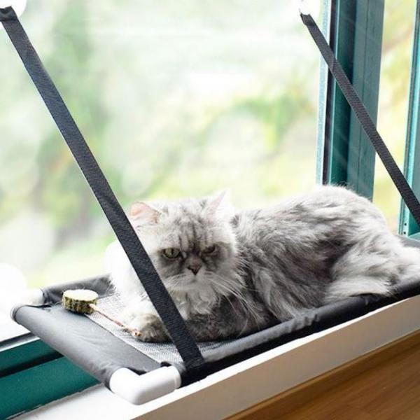 고양이해먹 윈도우 1단(여름용)