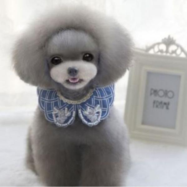 귀족 애견스카프