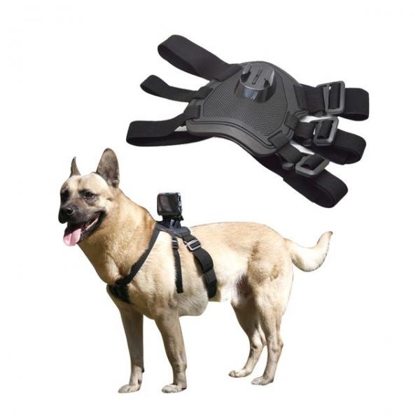 강아지 도그 개 반려견 마운트 고프로 히어로 호환