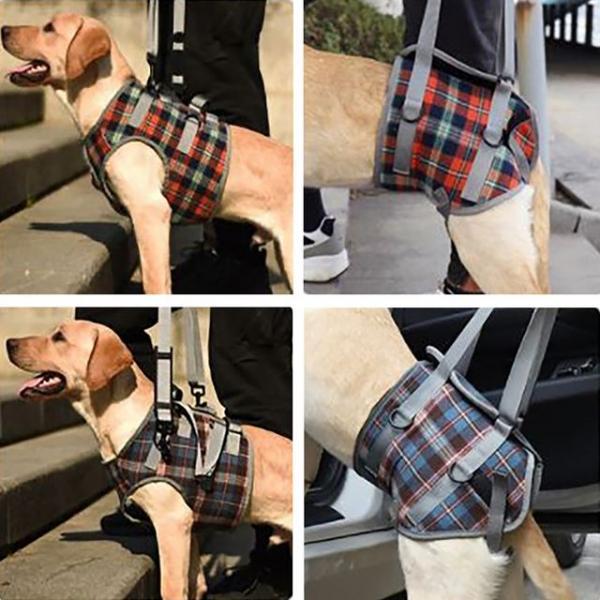 반려동물 산책 보조 하네스