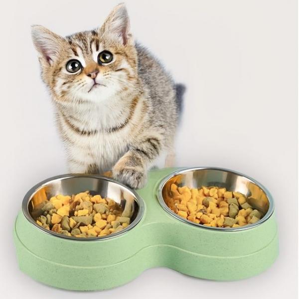 강아지밥그릇 고양이 식기 그릇 식탁