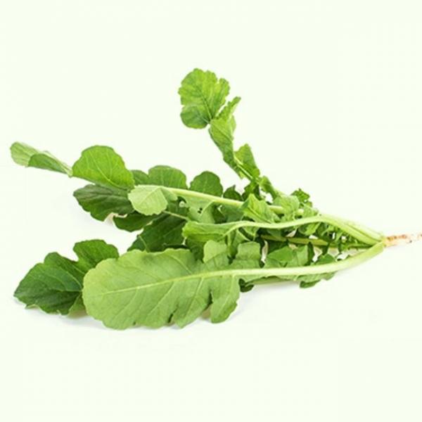 열무 얼갈이 야채 채소 식물 씨 종자 씨앗 20g