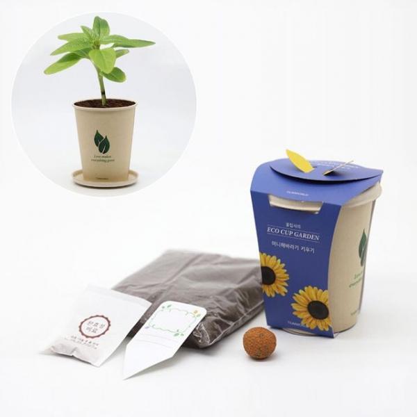 대나무펄프 화분 해바라기 씨드볼 비료 재배 세트