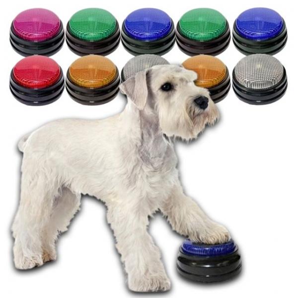 강아지 LED 녹음 간식벨 10P 훈련 놀이 버튼 의사소통