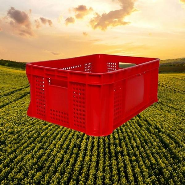 운반상자2호 빨강 5개/플라스틱 사각 이사바구니 박스