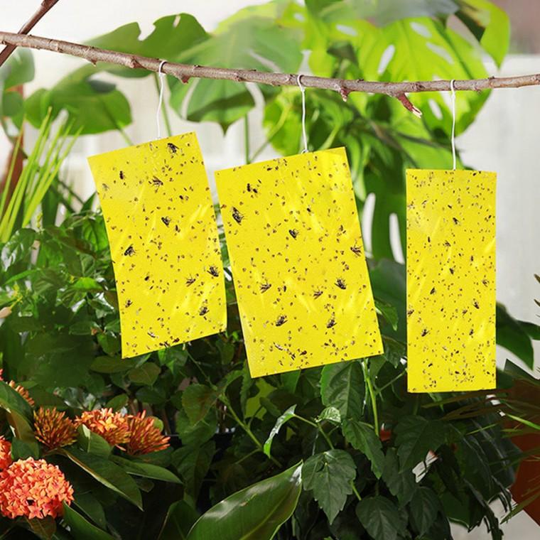 해충끈끈이 과수원 날파리 벌레 해충 트랩 20X10 20X25 KK299